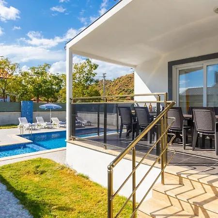 فيلة Sasha 2 أورتاجا