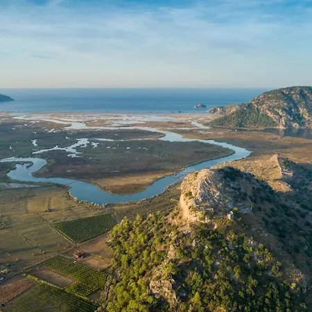 فيلة Sasha 2 أورتاجا